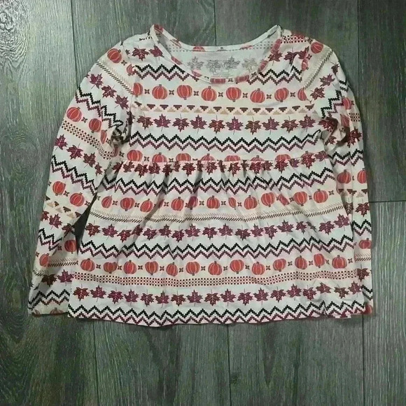 Carter’s and Children’s Place 2 Piece Girls Fall Long Sleeve Tee Bundle Size 5 - Picture 2 of 9